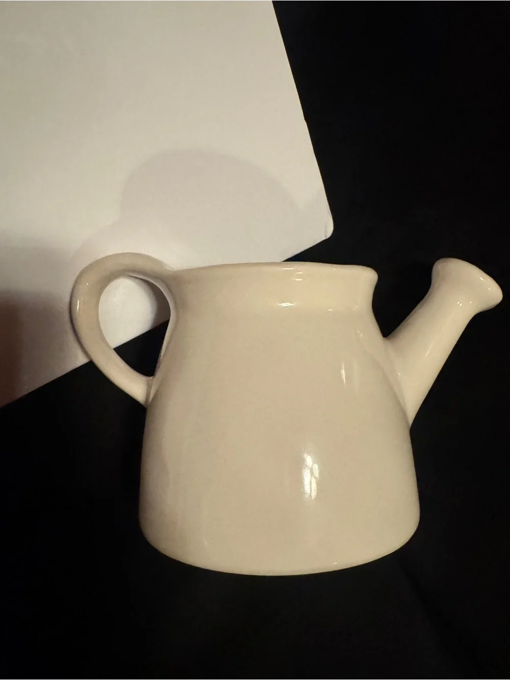 Rae Dunn QUEEN Bee Ceramic Watering Can Planter White No Drainage Hole EUC Farm